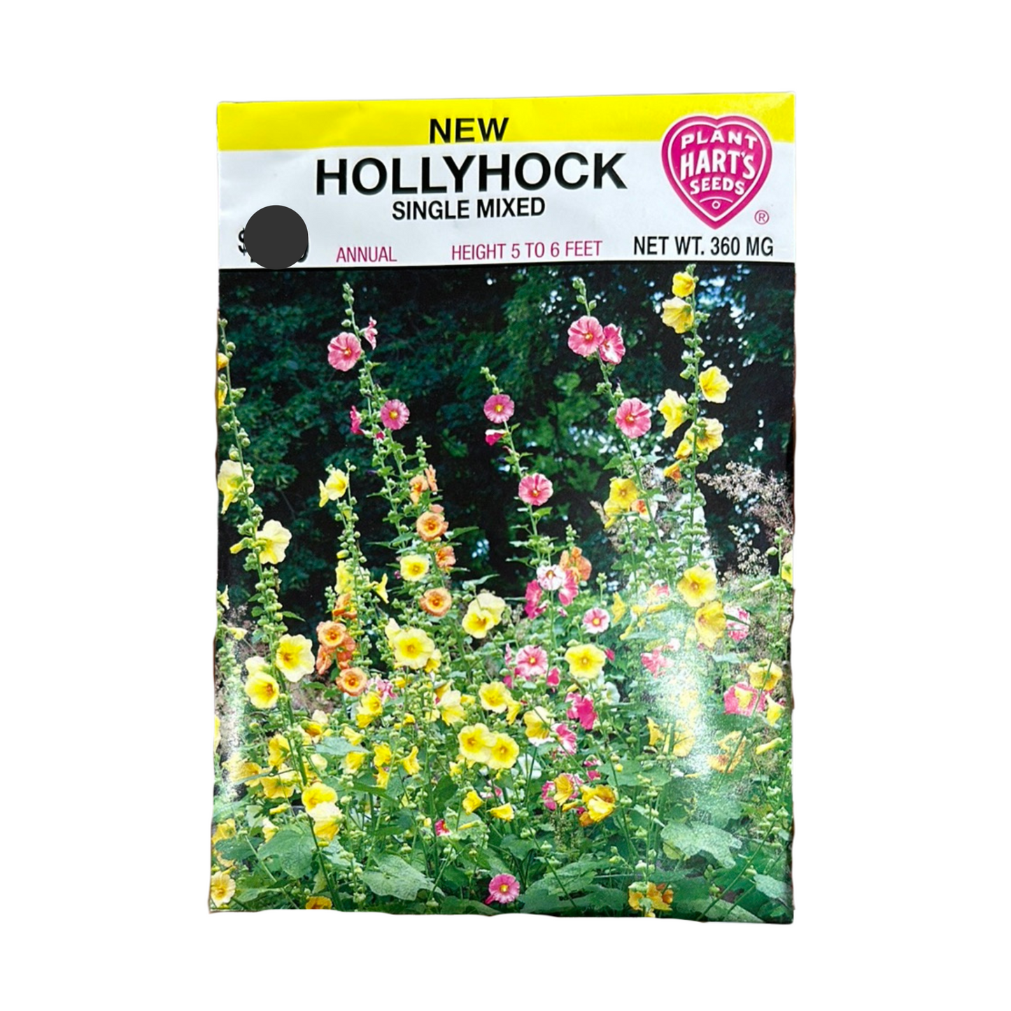 Hollyhock Single Mixed Colors