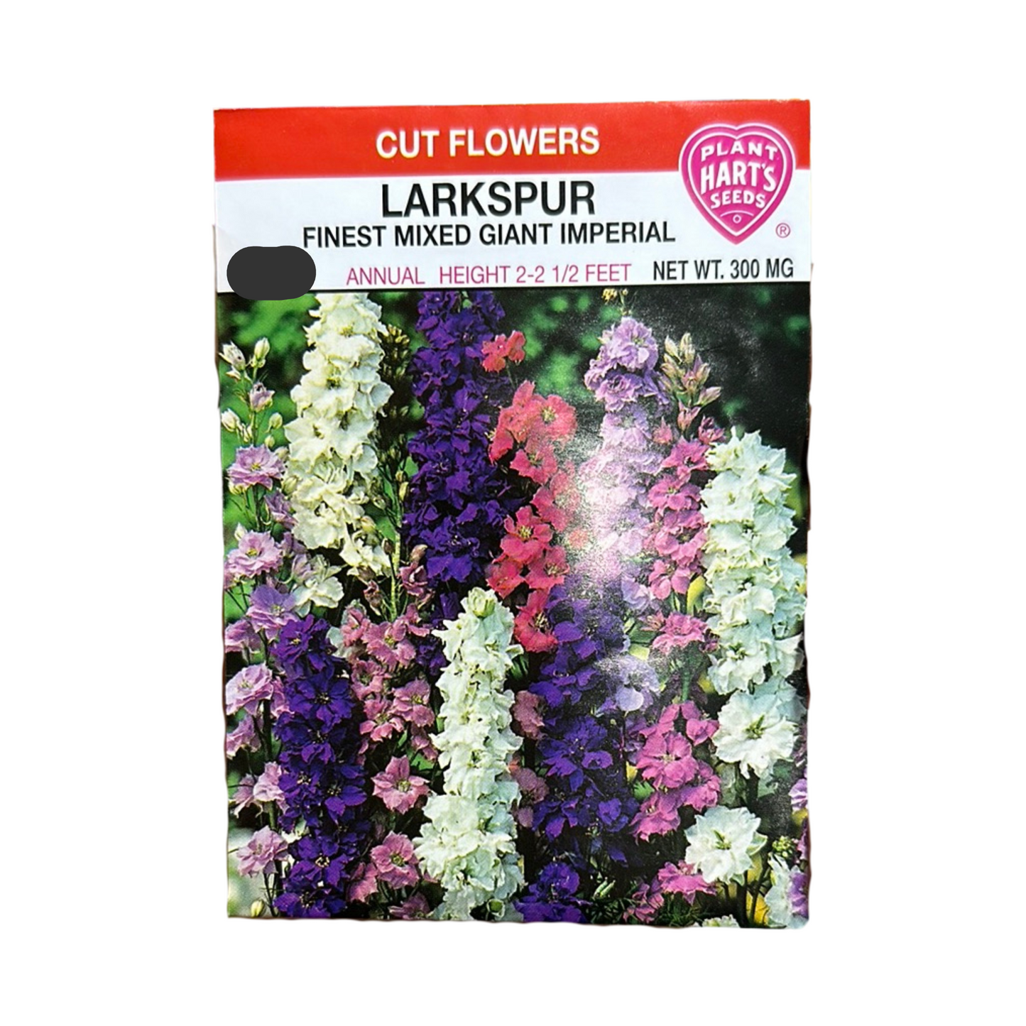 Larkspur Mixed