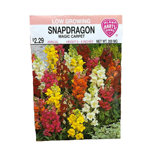 Snapdragon Magic Carpet