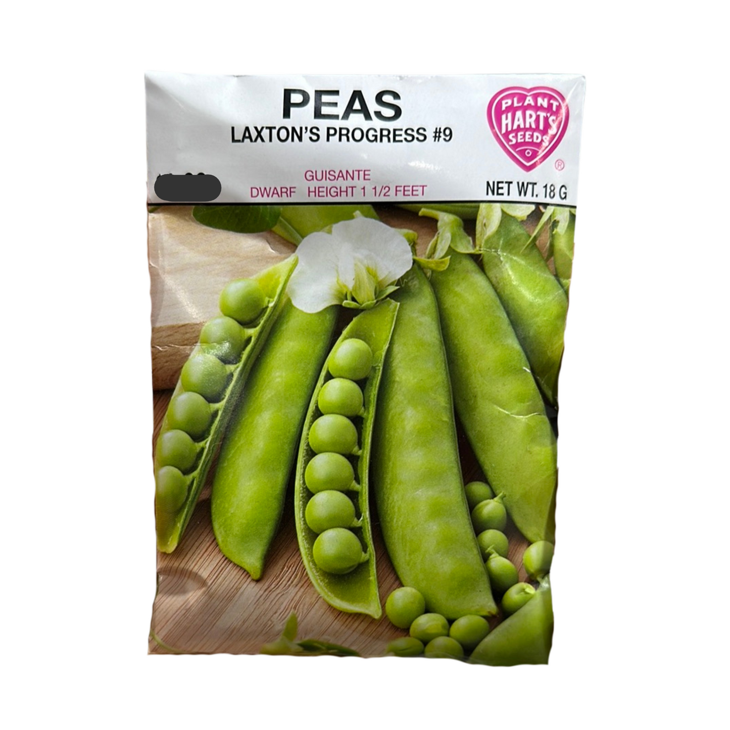 Pea Laxton's Progress