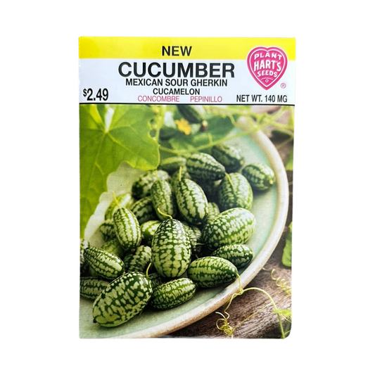 Cucumber Mexican Sour Gherkin