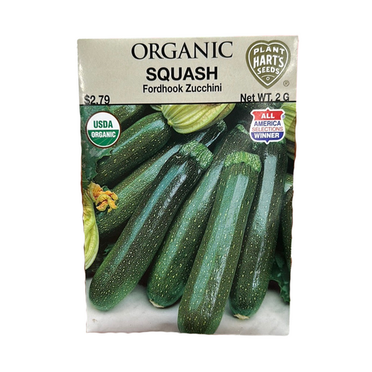 Organic Squash Fordhook Zucchini