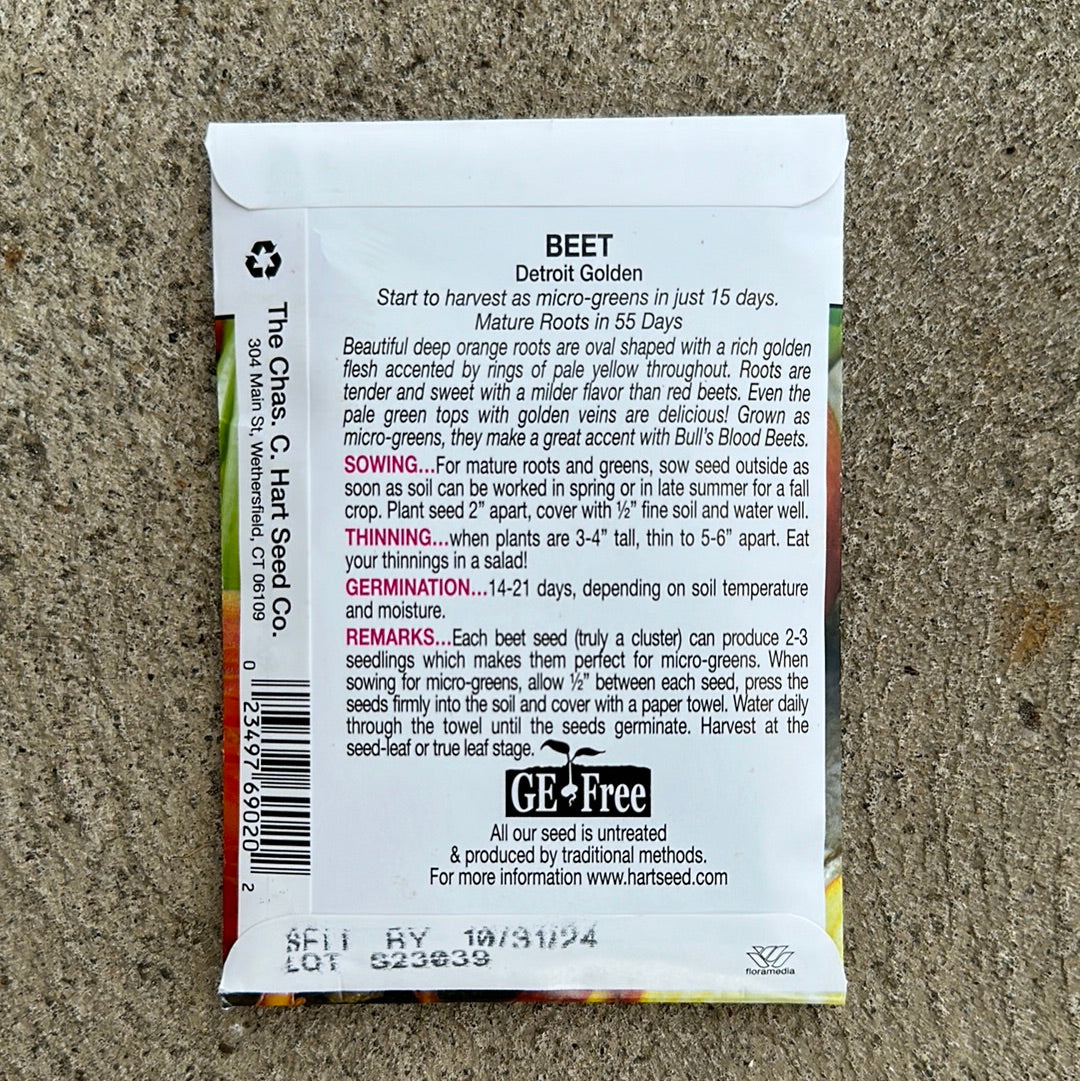 Beet Detroit Golden
