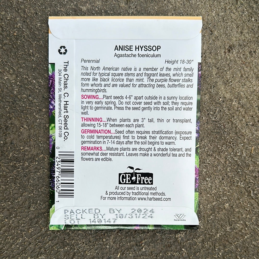Anise Hyssop