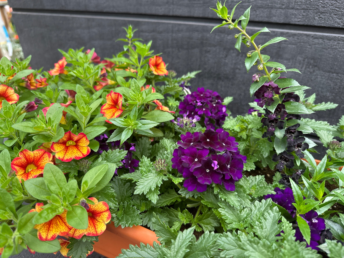 COMBO #10 - 30'' WINDOW BOX