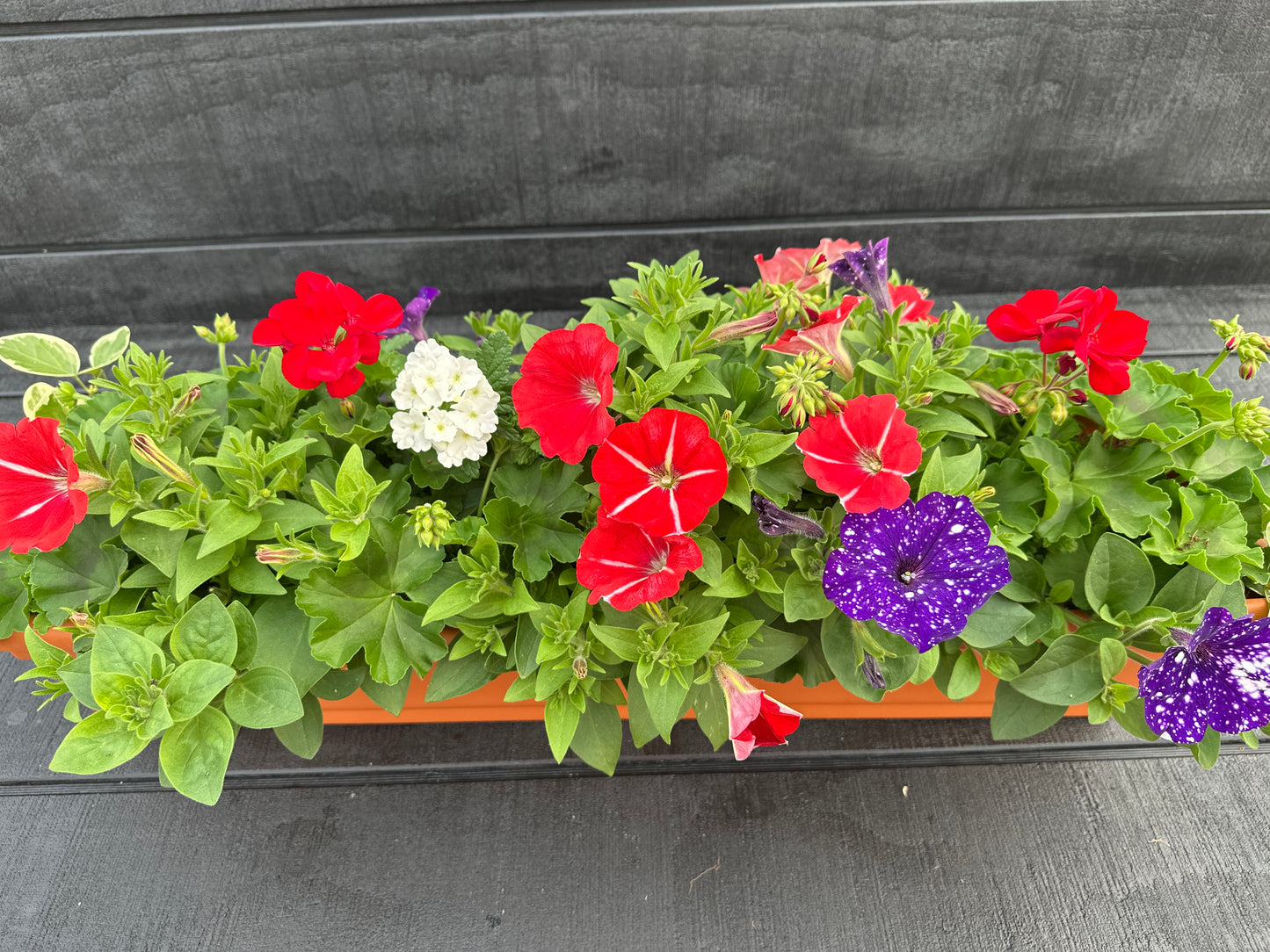 COMBO #4 - 30" WINDOW BOX