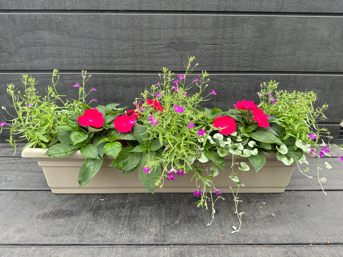 COMBO #8 - 30'' WINDOW BOX