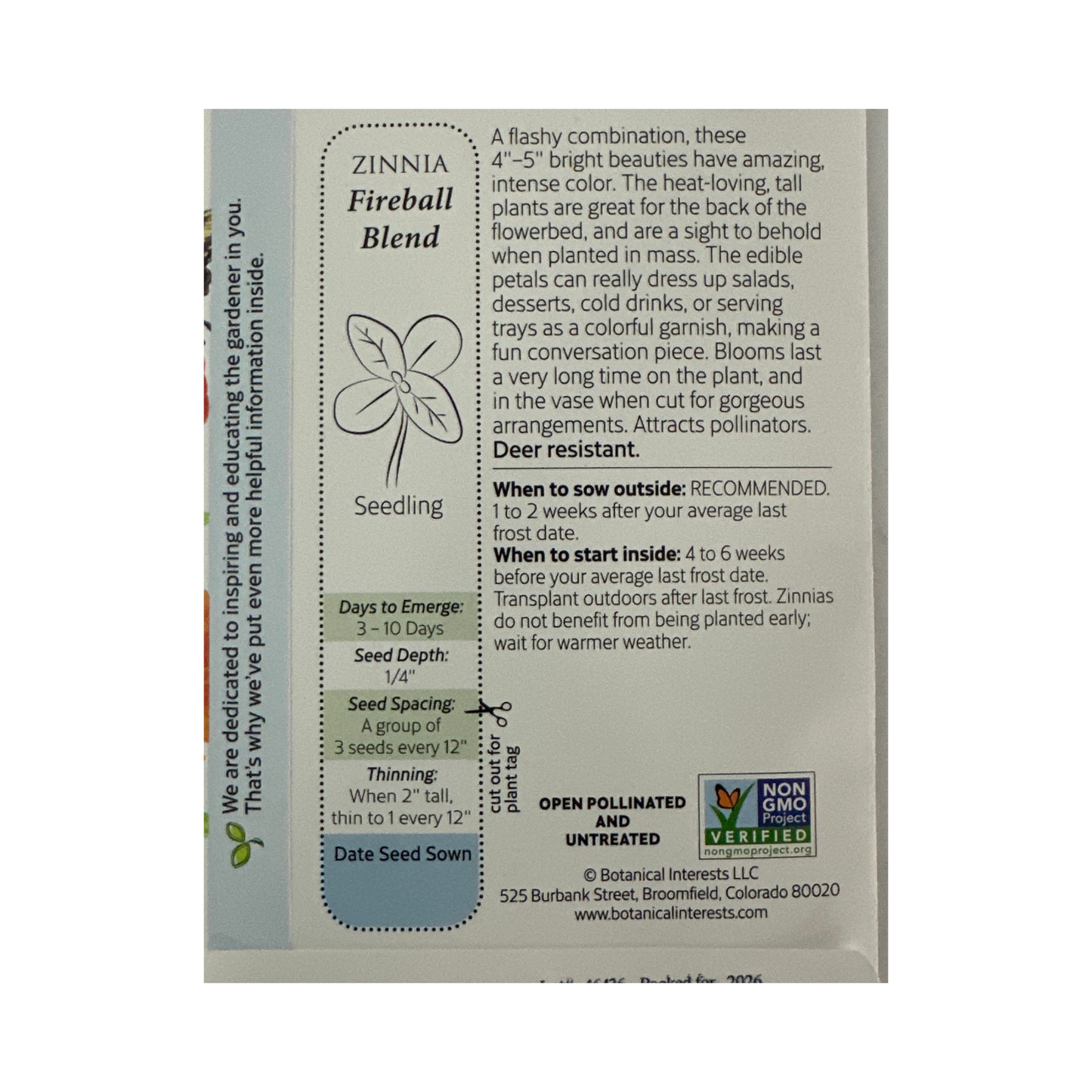 Zinnia Fireball Blend