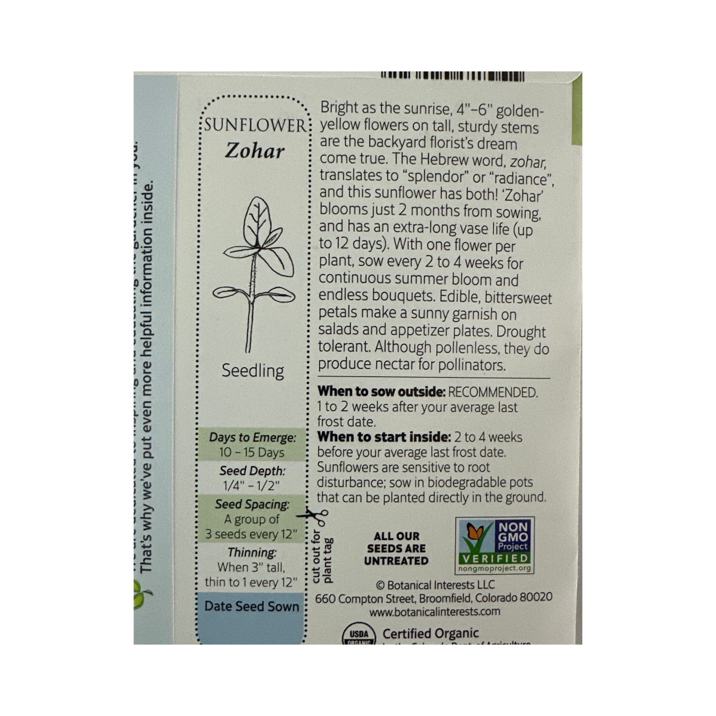 Sunflower Zohar hybrid Org