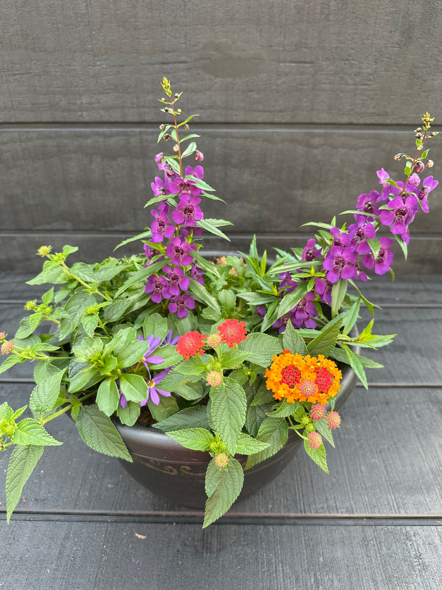 COMBO #11 - 10'' POT