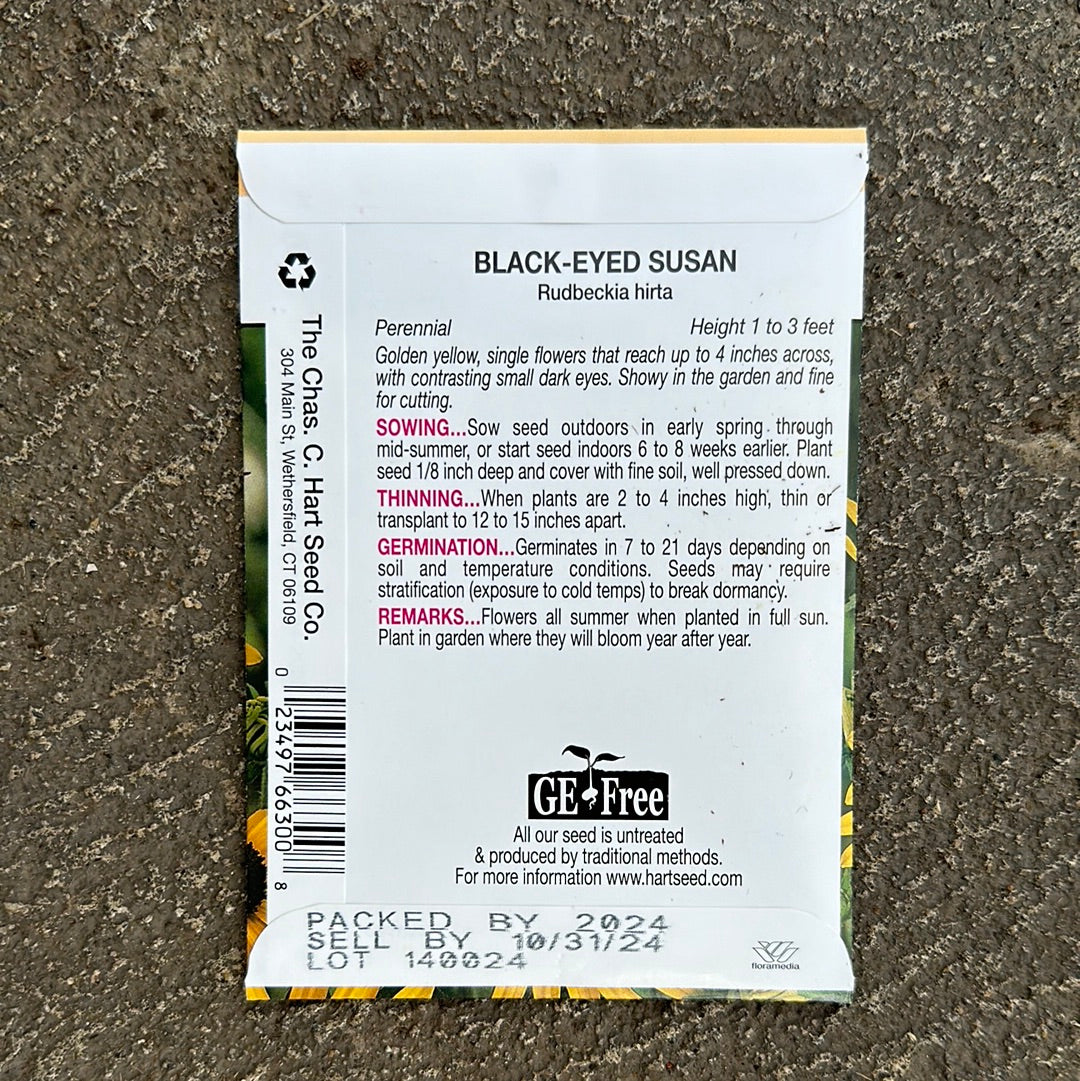 Black Eyed Susan