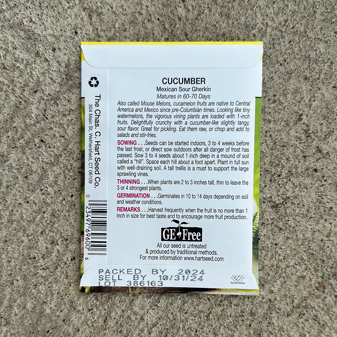 Cucumber Mexican Sour Gherkin