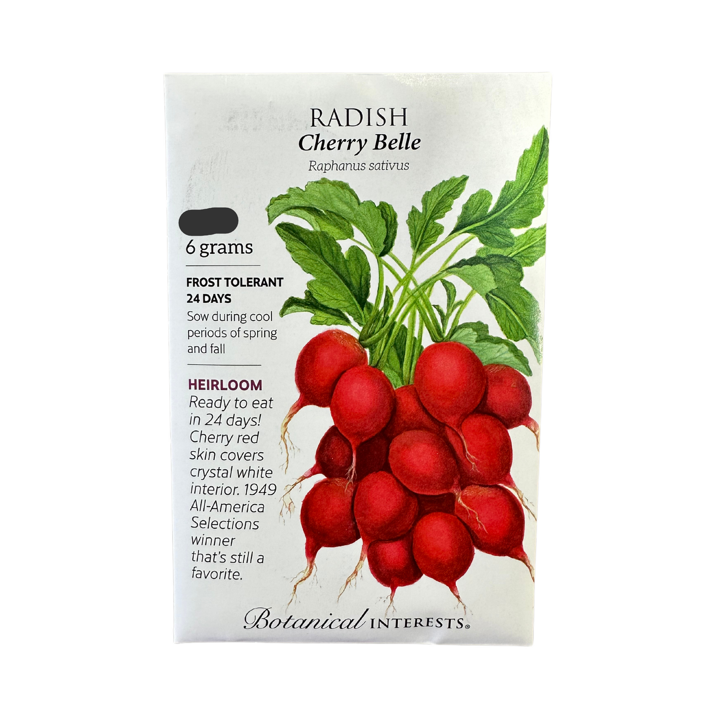 Radish Cherry Belle