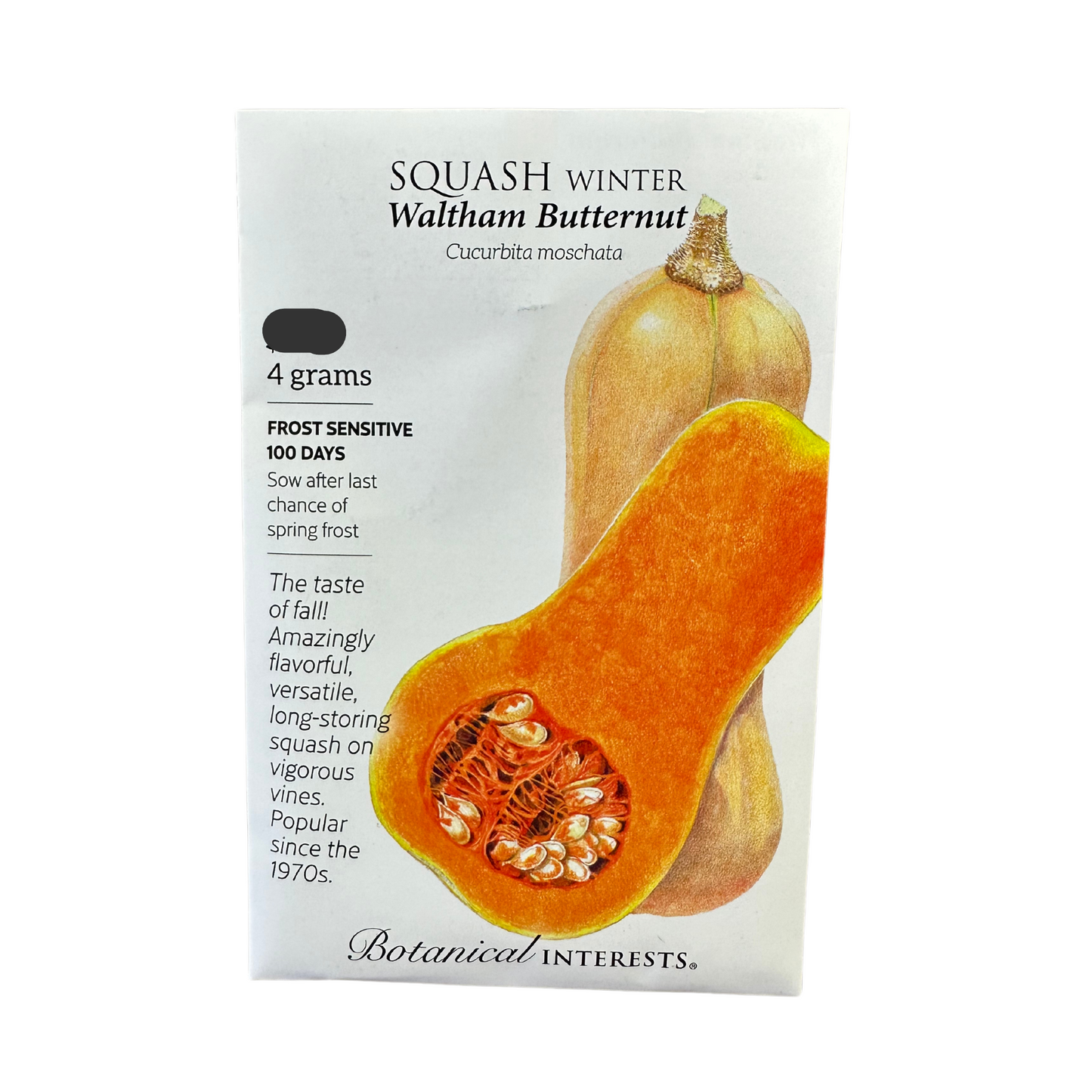 Squash Winter Waltham Bttrnt