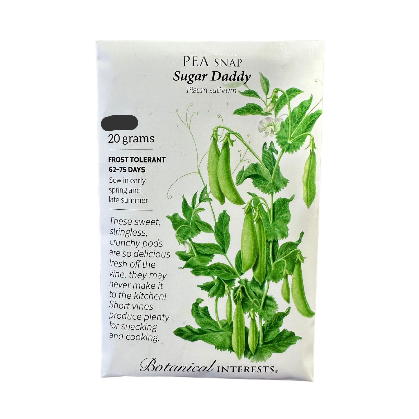 Pea Snap Sugar Daddy