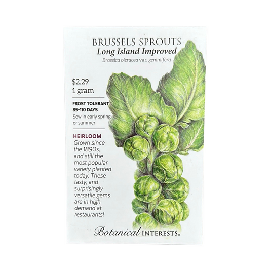 Brussels Sprouts Long Island Imp