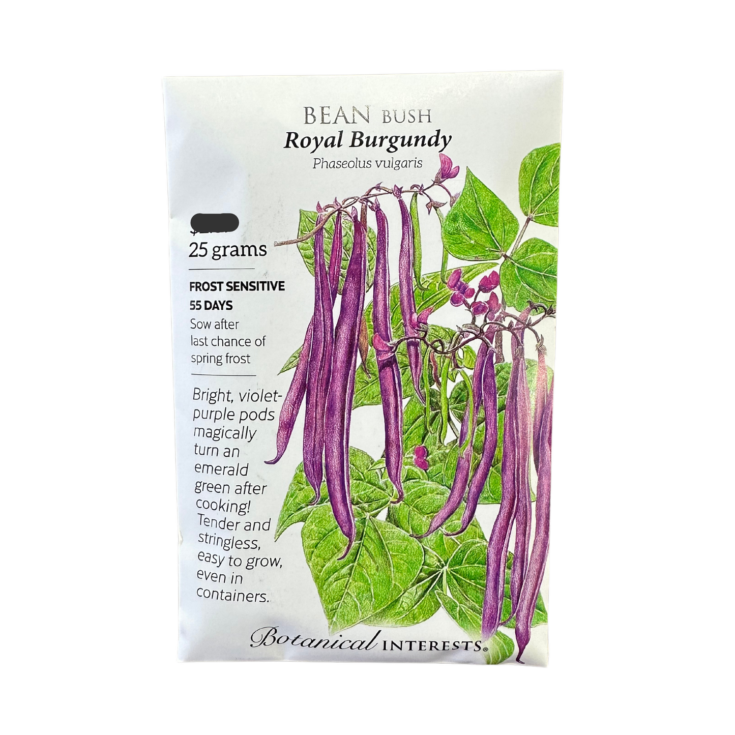 Bean Bush Royal Burgundy