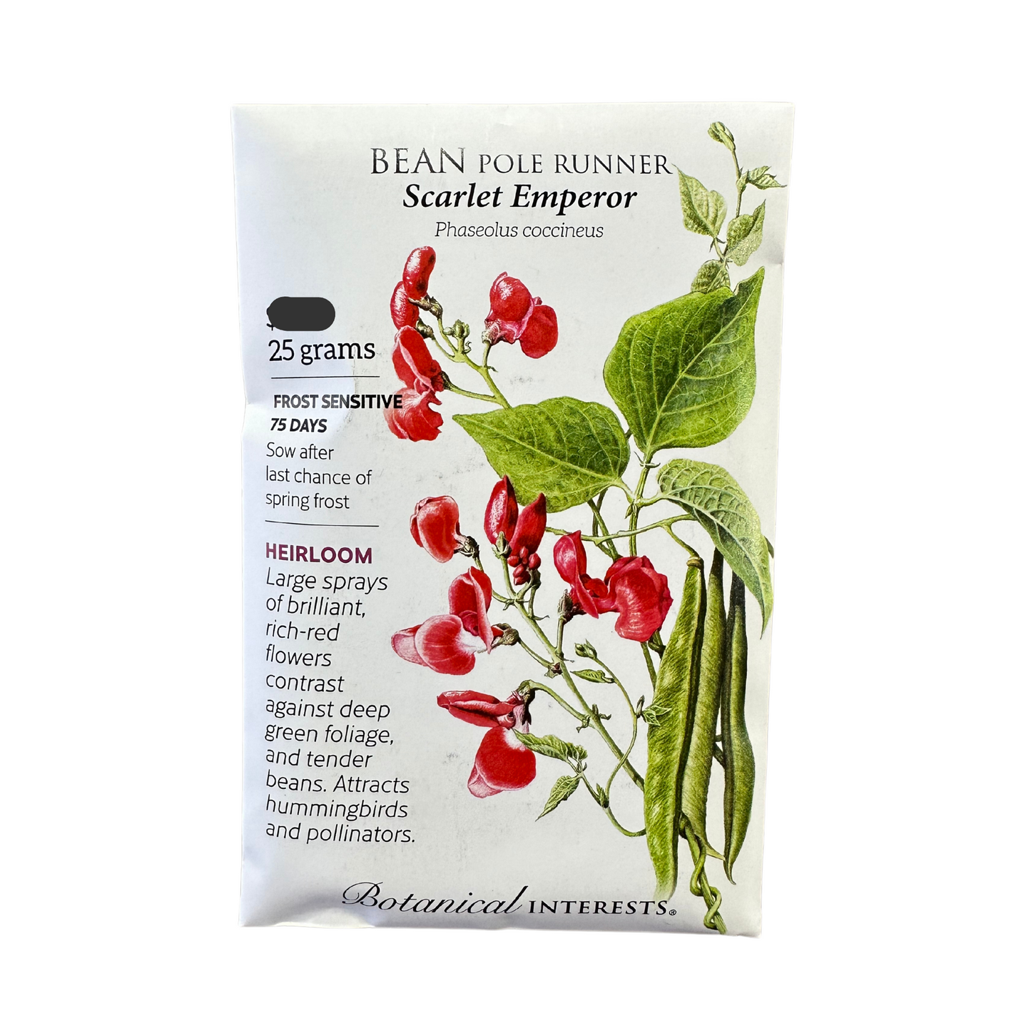 Bean Pole Runner Scarlet Emperor