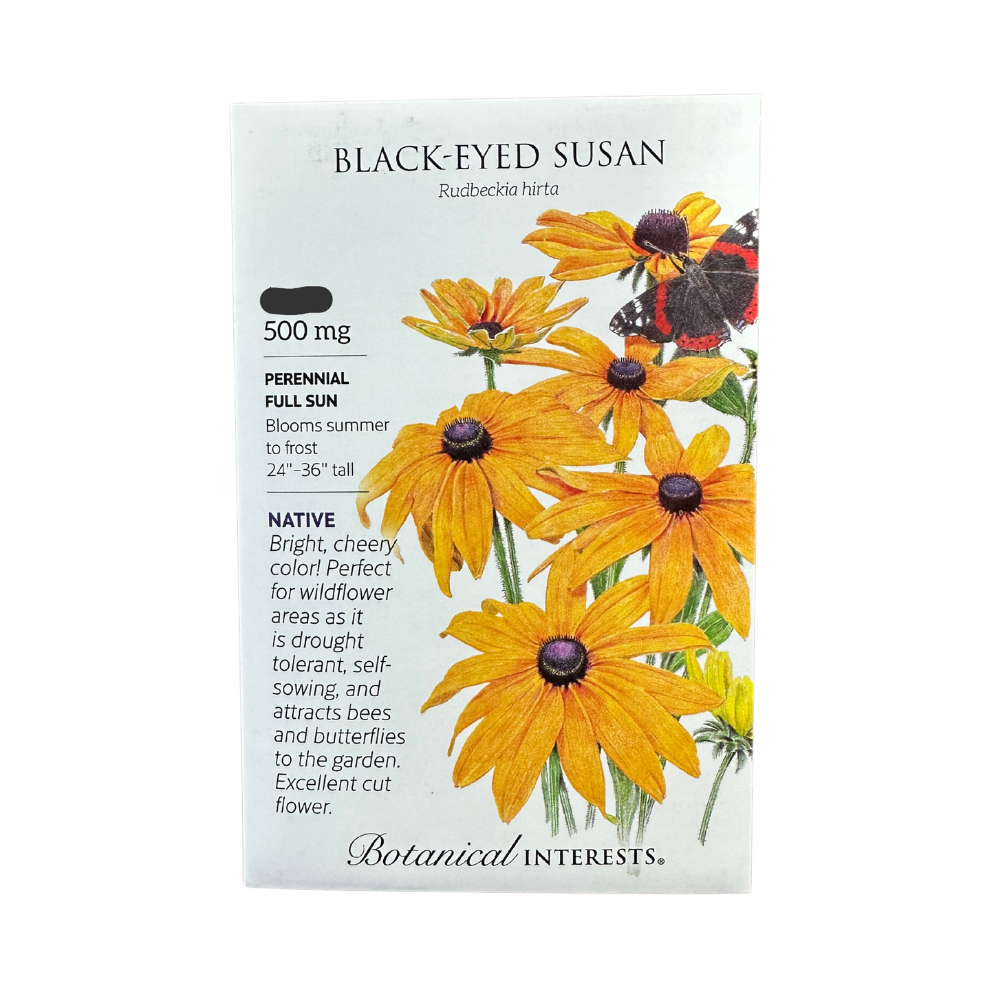 Black-Eyed Susan