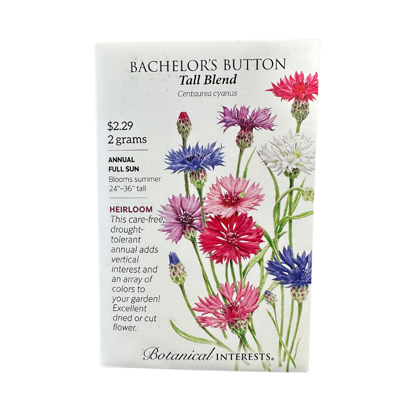 Bachelor Button Tall Blend