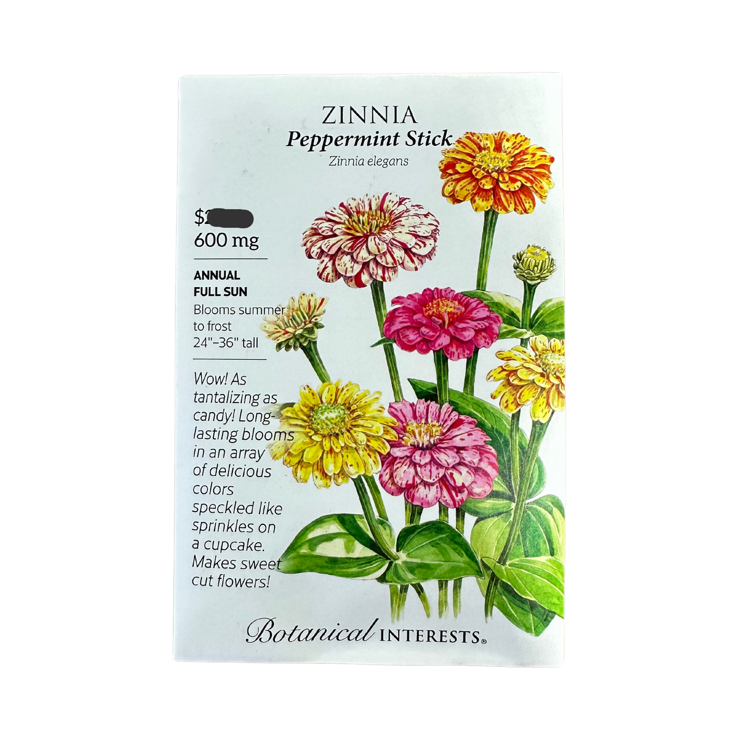 Zinnia Peppermint Stick