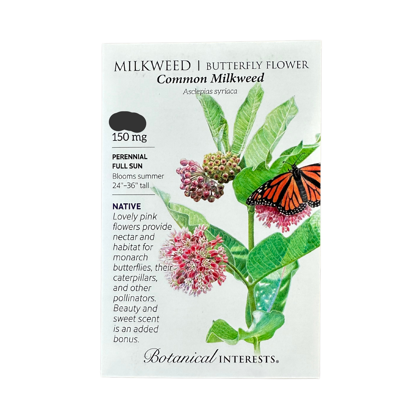 Milkweed Common