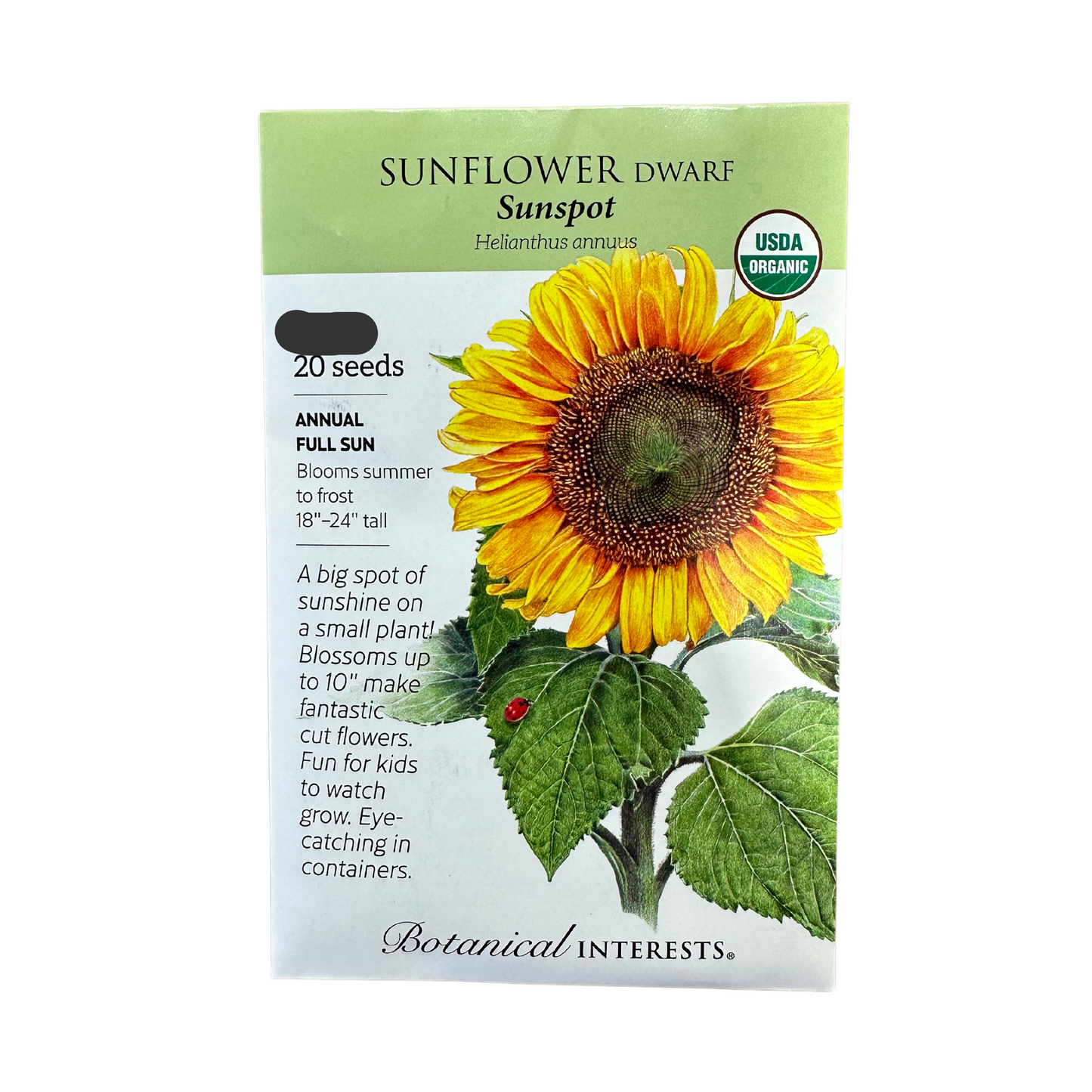 Sunflower Dwf Sunspot Org