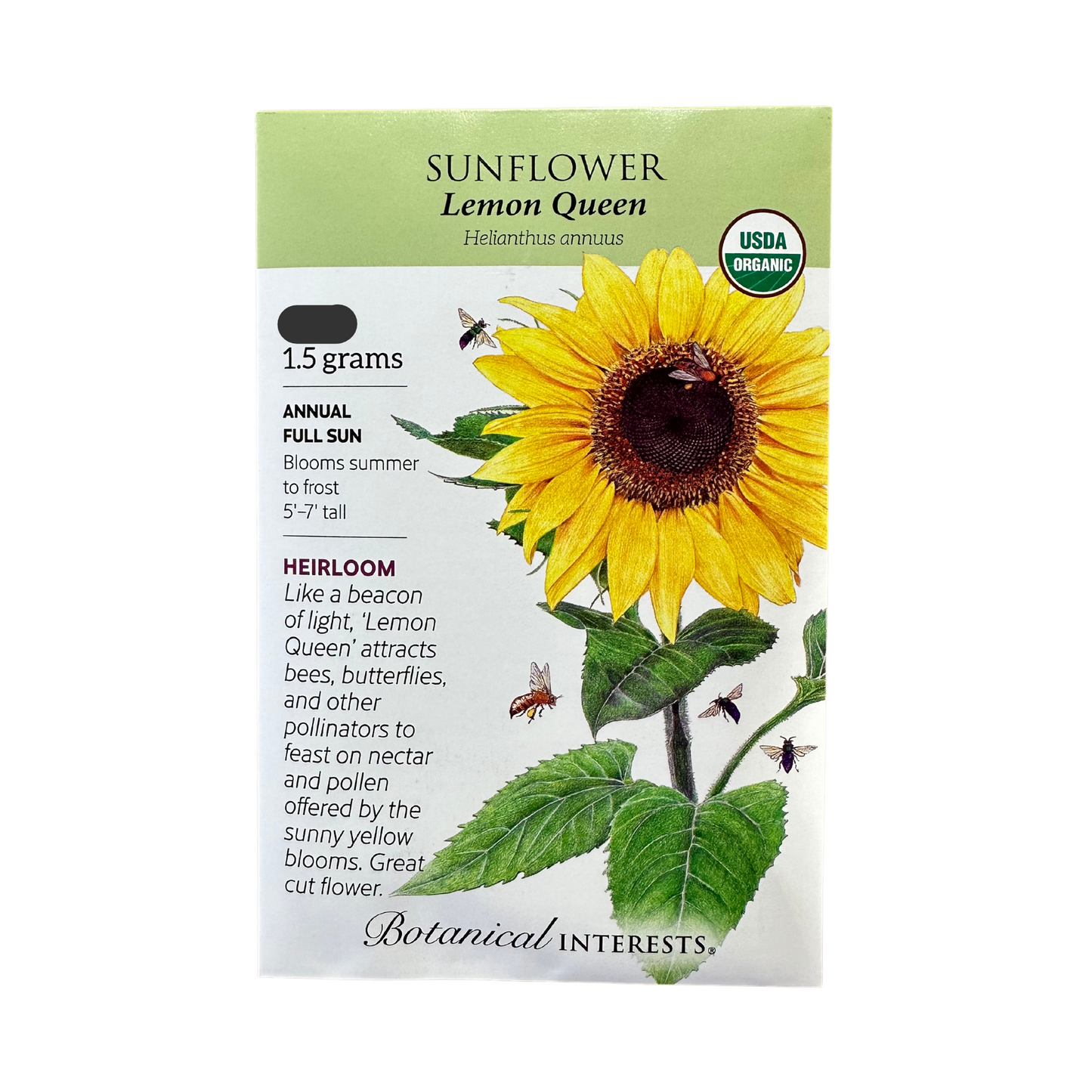 Sunflower Lemon Queen Org