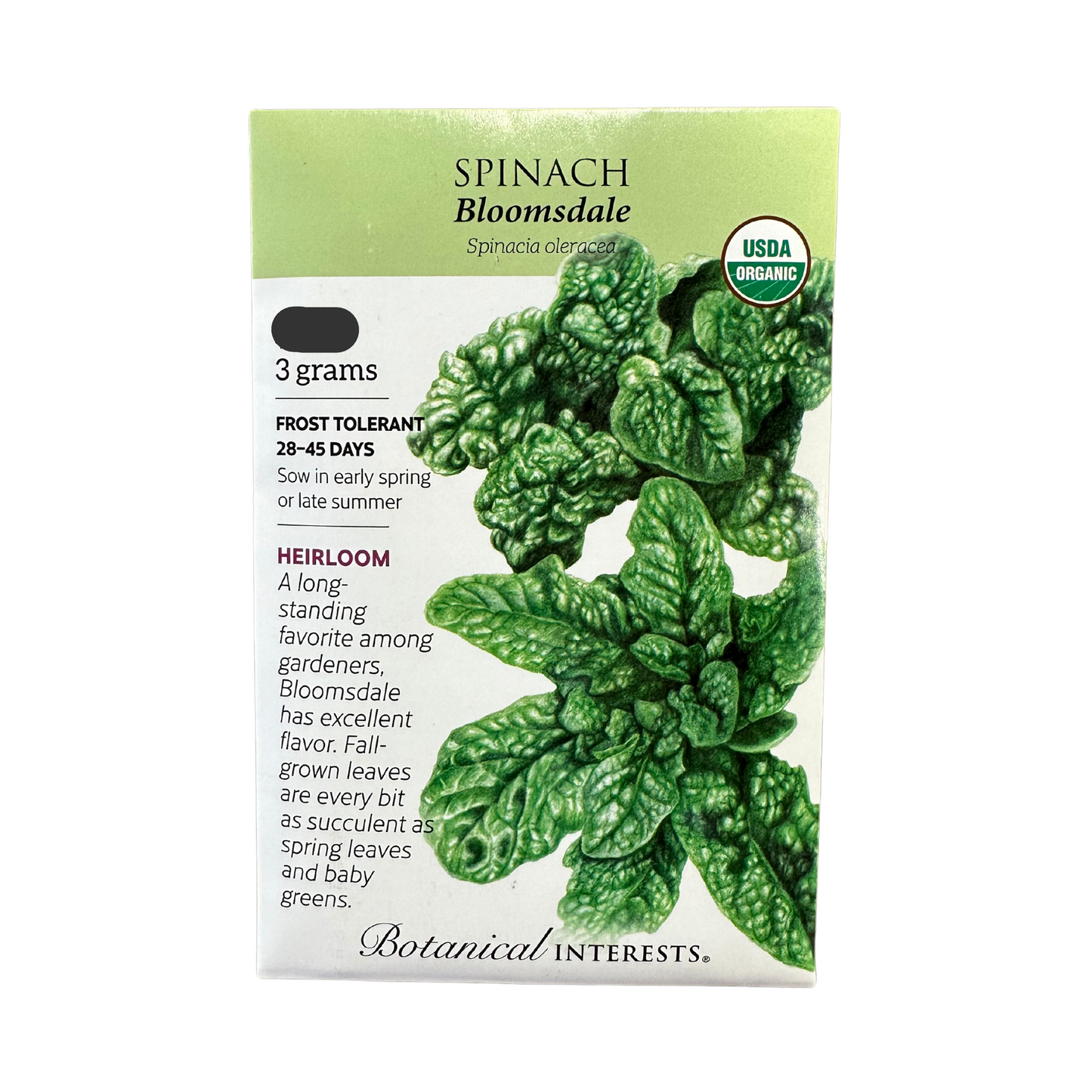 Spinach Bloomsdale Org