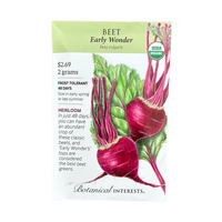 Beet (red) Early Wonder Org