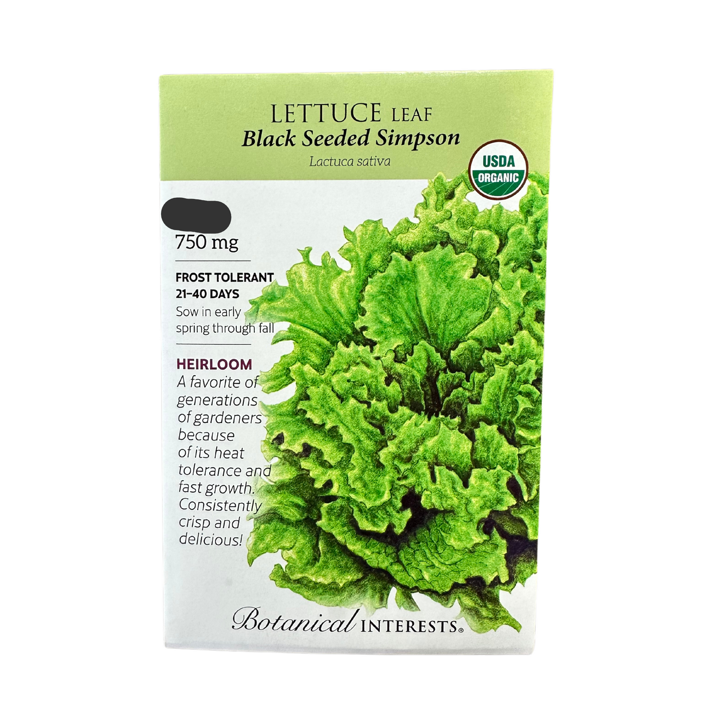 Lettuce Leaf Black Sd Simpson Org