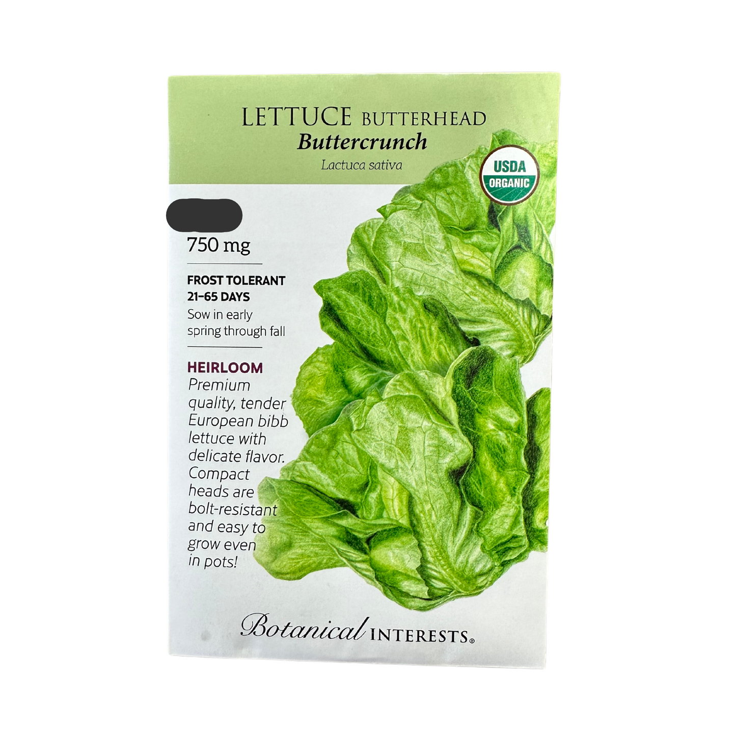 Lettuce Butterhead Buttrcrnch Org