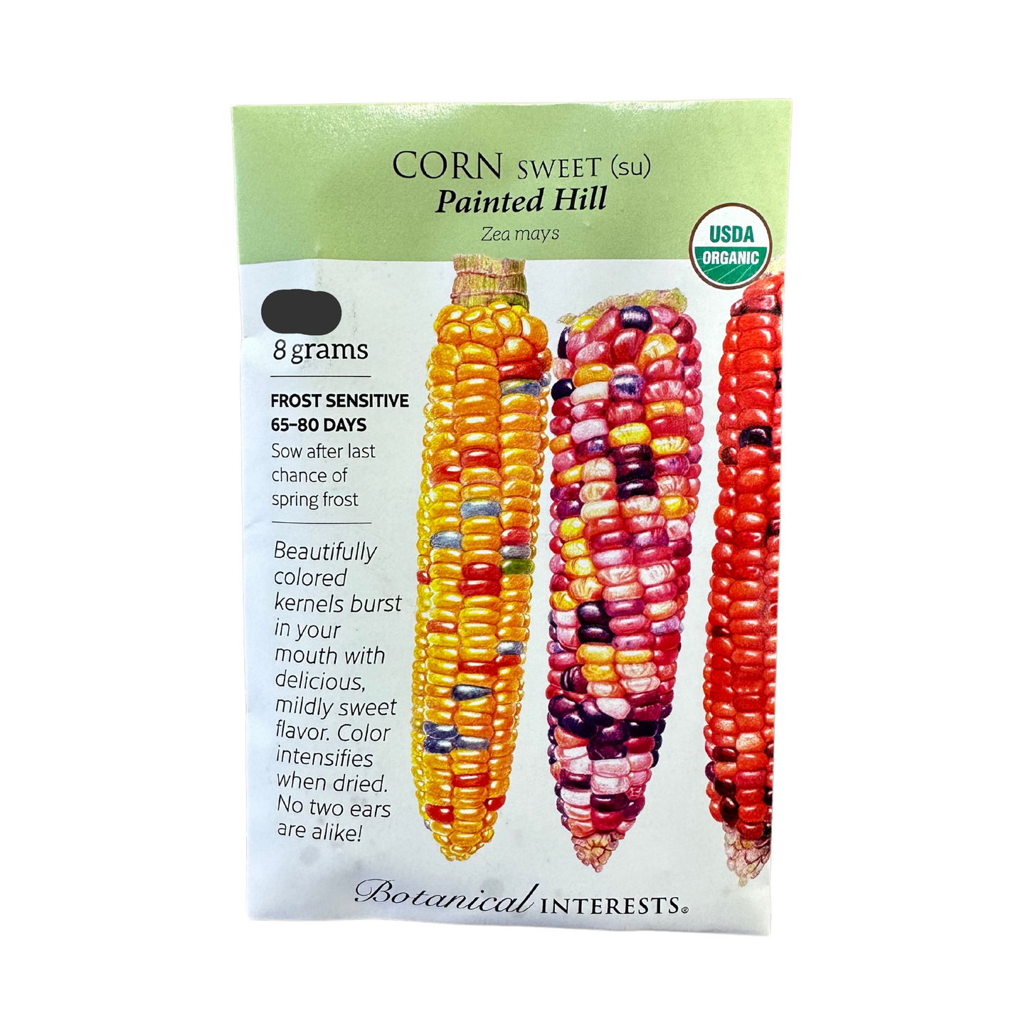 Corn Swt (multicolor) Painted Hill Org