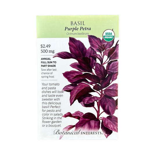 Basil Purple Petra Org