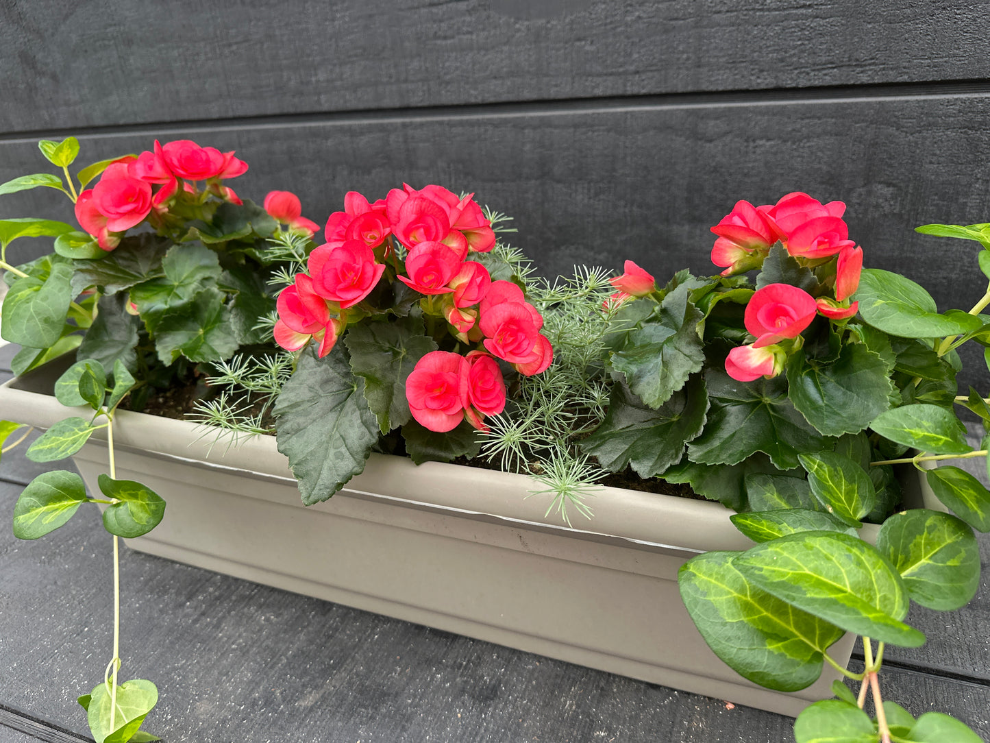COMBO #32 - 24" WINDOW BOX