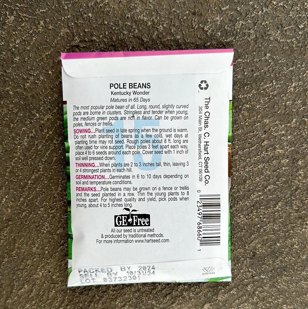 Bean Kentucky Wonder