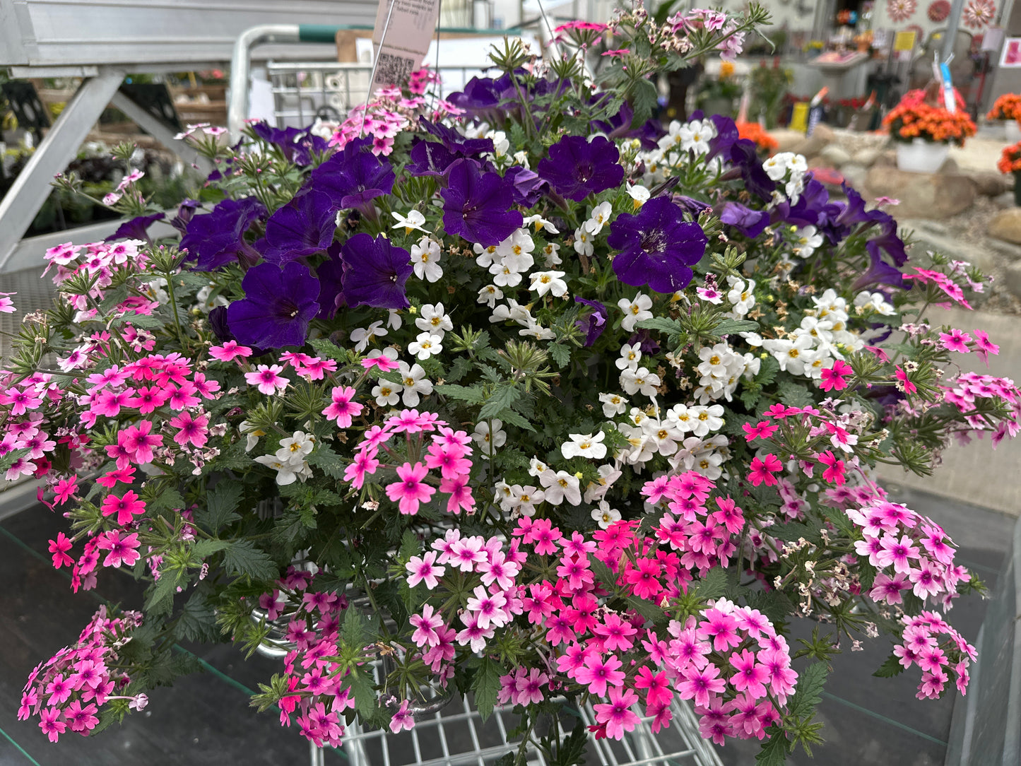 BASKET #57 - 10'' HANGING BASKET