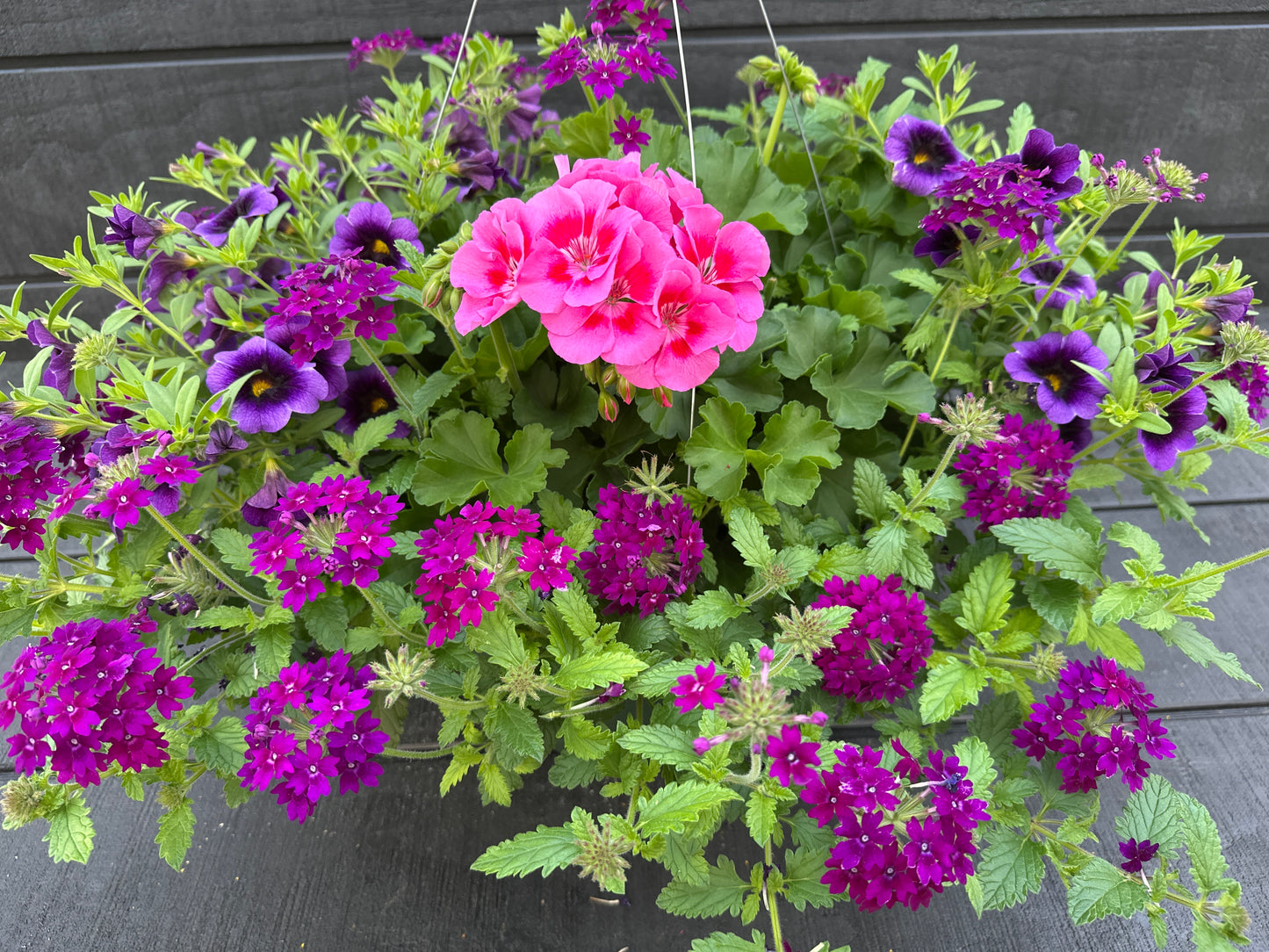 BASKET #28 - 12" HANGING BASKET