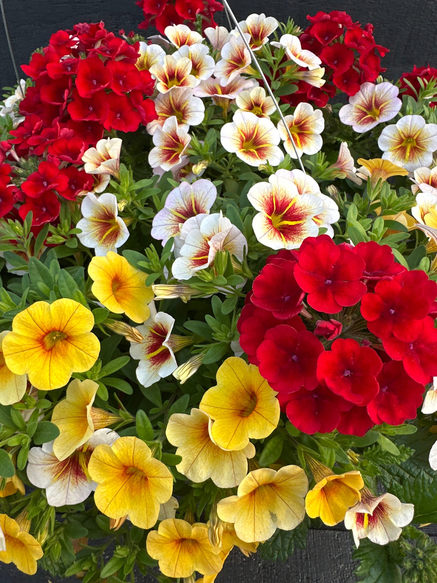 BASKET #45 - 12" HANGING BASKET