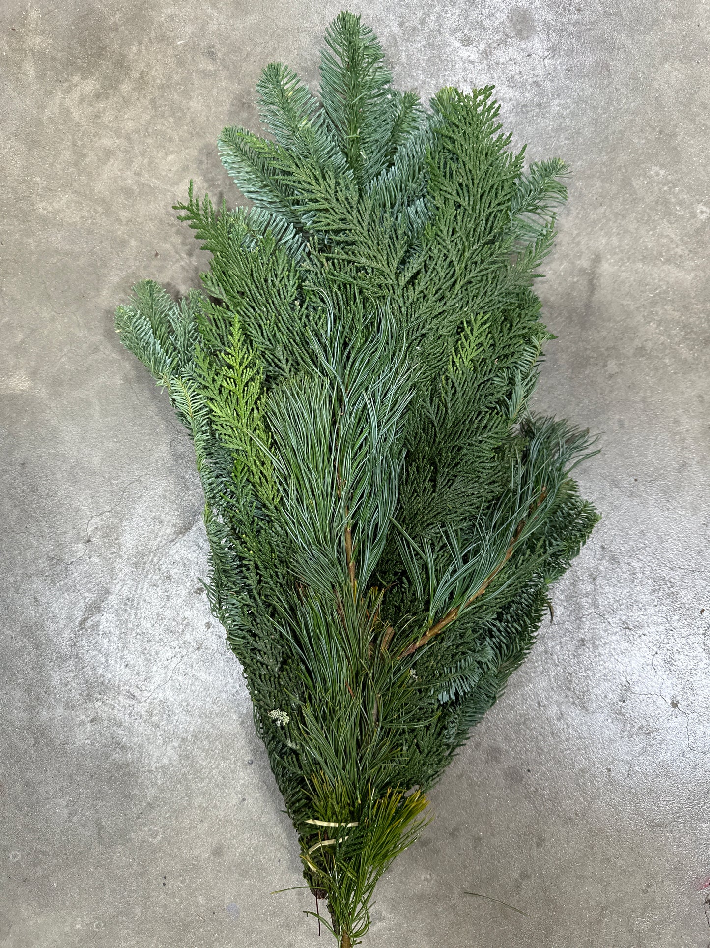 Mixed Greens Bouquet (Xmas)