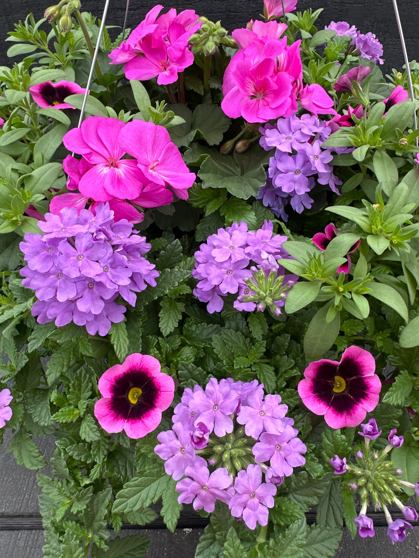 BASKET #100 - 12" HANGING BASKET