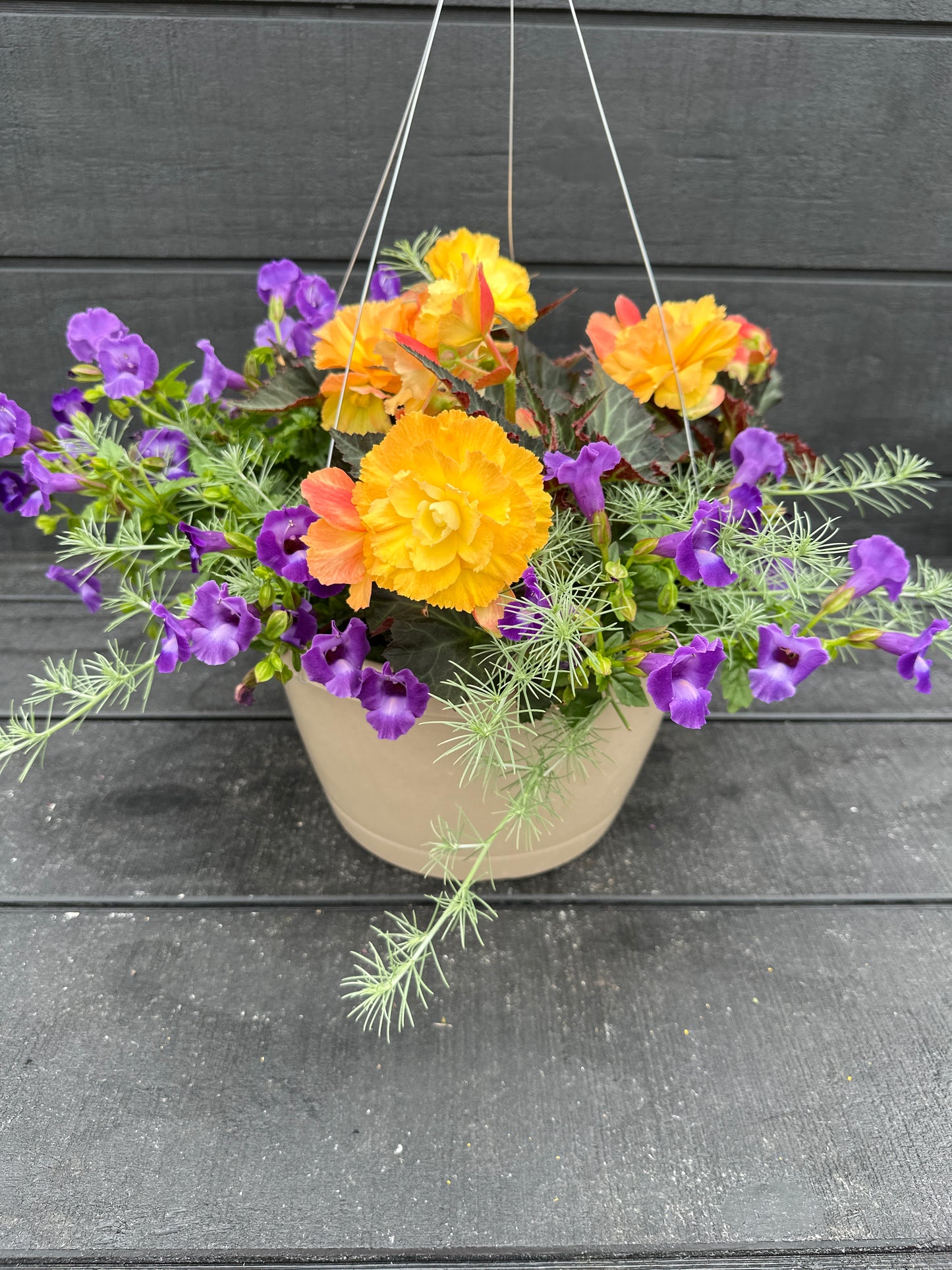 BASKET #6 - 12'' HANGING BASKET