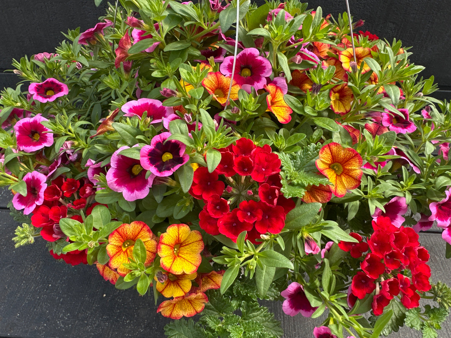 BASKET #45 - 12'' HANGING BASKET