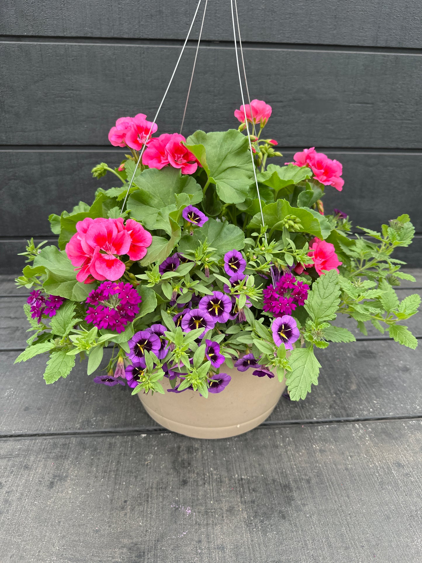 BASKET #28 - 12'' HANGING BASKET