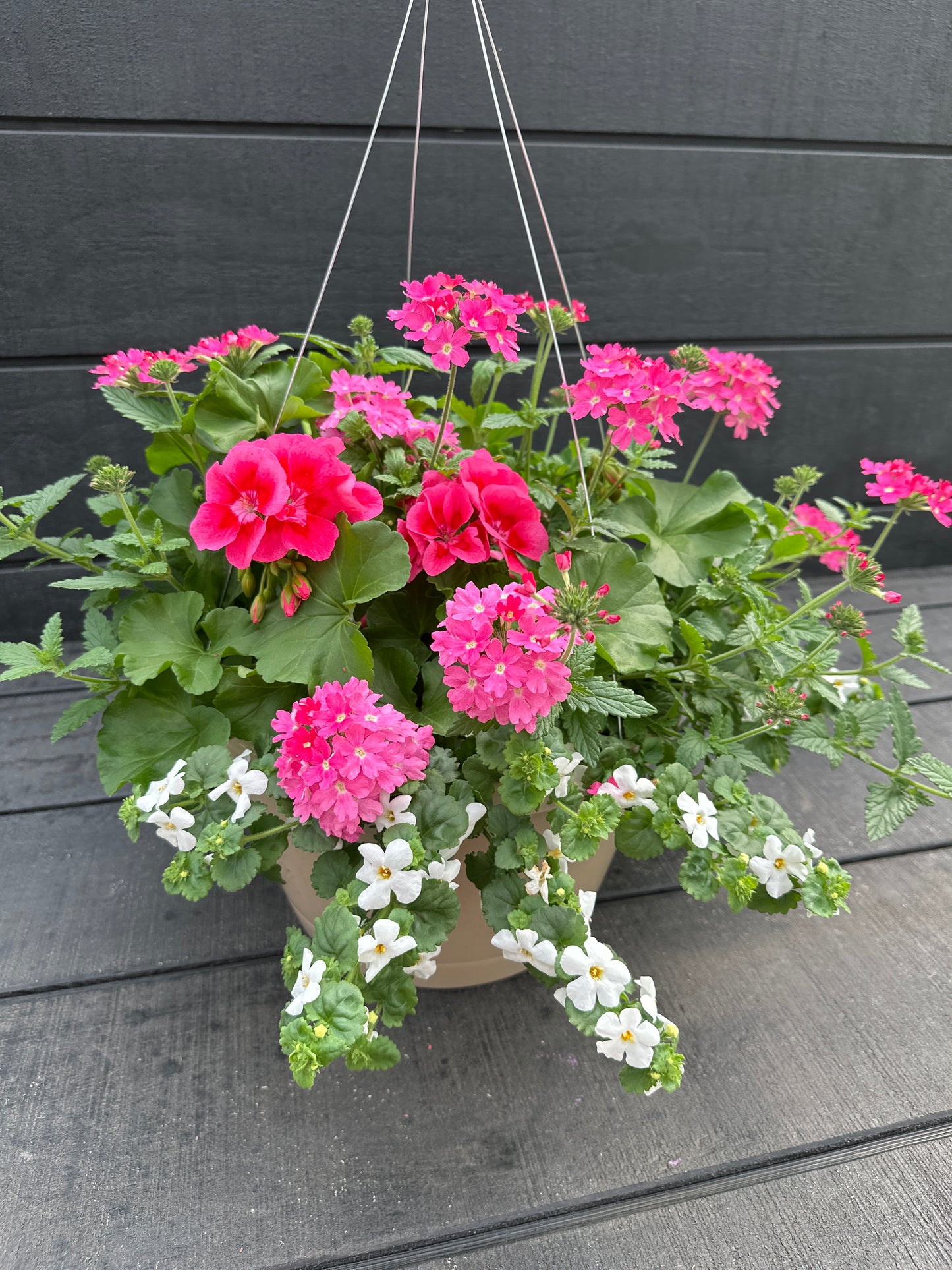 BASKET #15 - 12'' HANGING BASKET