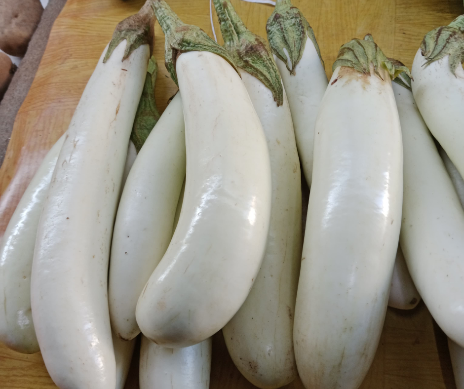 EGGPLANT SNOWY - FLAT OF 32 PLANTS