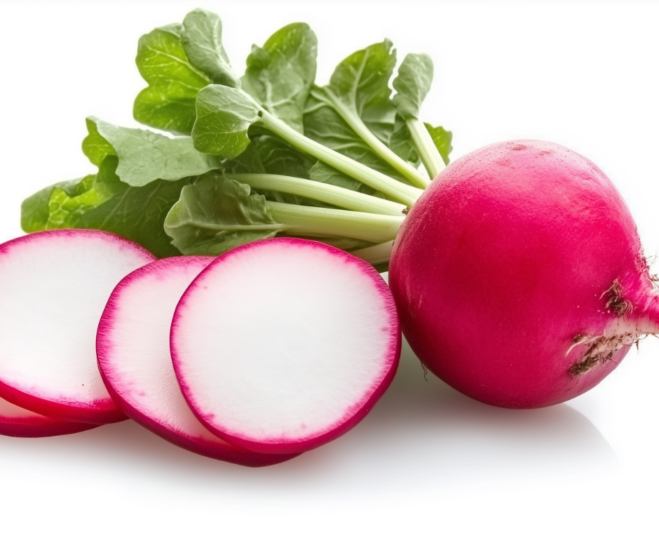 RADISH EARLY SCARLET GLOBE - FLAT OF 32 PLANTS