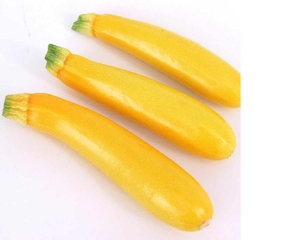 SQUASH GOLDY - FLAT OF 32 PLANTS