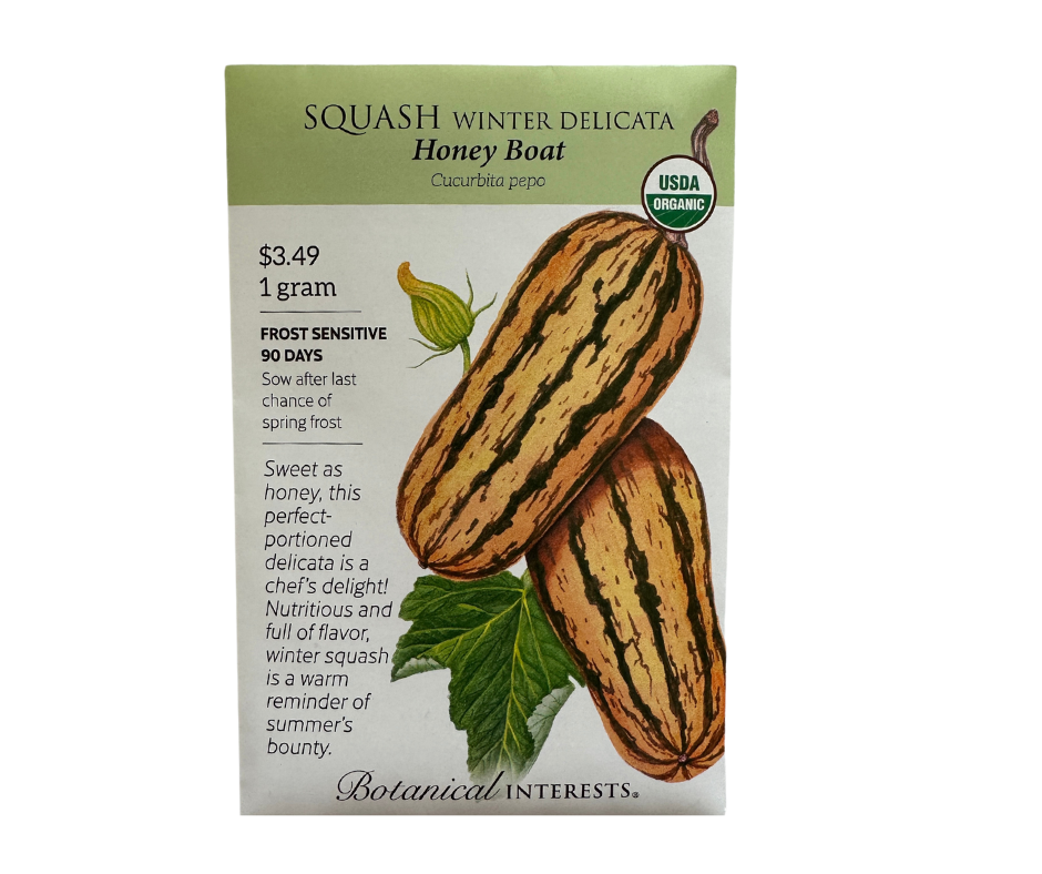 Squash Winter Delicata Honey Boat