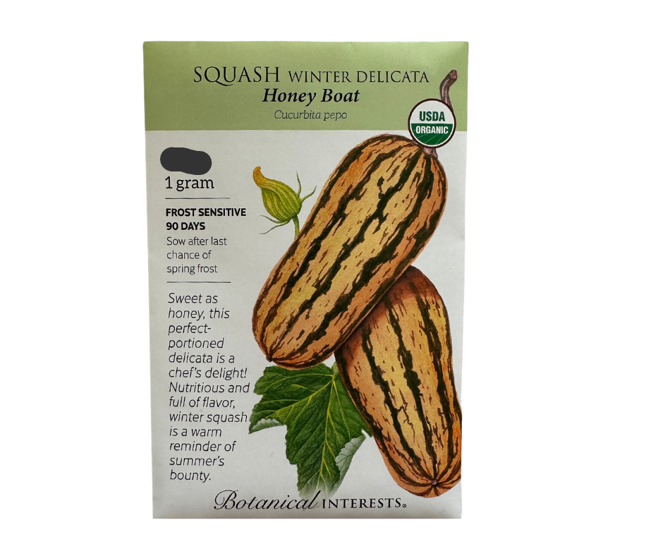 Squash Winter Delicata Org
